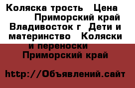 Коляска трость › Цена ­ 1 000 - Приморский край, Владивосток г. Дети и материнство » Коляски и переноски   . Приморский край